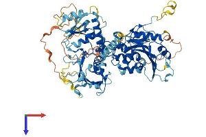 EXTL1 Protein (AA 1-676) (His tag)