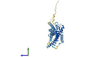 Protein Structure (PS) image for Chemokine (C Motif) Receptor 1 (XCR1) (AA 1-333) protein (His tag) (ABIN7545131)