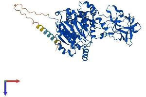 GALNT4 Protein (AA 1-578) (His tag)