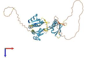 PCBP3 Protein (AA 1-371) (His tag)