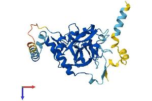 AlphaFold protein structure predicition of Human Recombinant SETD9 Protein, UniprotID Q8NE22