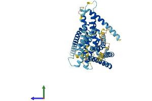 Protein Structure (PS) image for Limb Region 1 Like (LMBR1L) (AA 1-489) protein (His tag) (ABIN7549152)