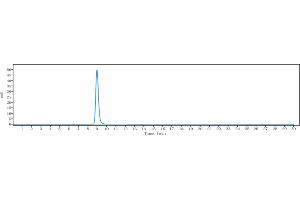 The purity of Anti-CD47 Reference Antibody (CC-90002) is 100 % , determined by SEC-HPLC.