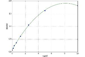 Upper Zone of Growth Plate and Cartilage Matrix Associated (UCMA) ELISA Kit