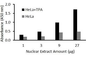 Activity Assay (AcA) image for FOS-Like Antigen 2 (FOSL2) ELISA Kit (ABIN5526741)