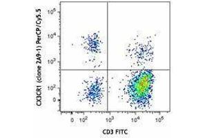 Flow Cytometry (FACS) image for anti-Chemokine (C-X3-C Motif) Receptor 1 (CX3CR1) antibody (PerCP-Cy5.5) (ABIN2660174) (CX3CR1 Antikörper  (PerCP-Cy5.5))