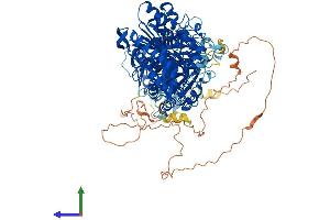AlphaFold protein structure predicition of Human Recombinant PLD1 Protein, UniprotID Q13393