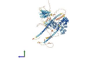 Protein Structure (PS) image for TBC1 (Tre-2/USP6, BUB2, Cdc16) Domain Family, Member 1 (TBC1D1) (AA 1-1168) protein (His tag) (ABIN7555751)