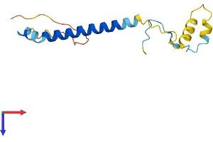 PAIP2 Protein (AA 1-127) (His tag)