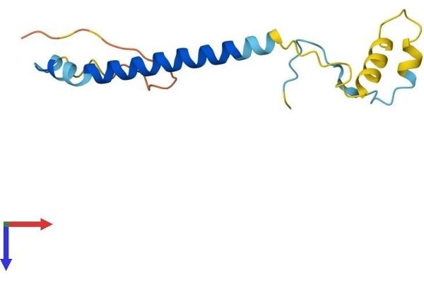 PAIP2 Protein (AA 1-127) (His tag)