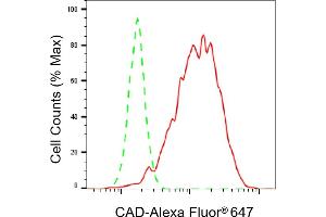 Flow cytometric analysis of CAD expression in HepG2 cells using CAD antibody (ABIN7797866), 1:2,000).