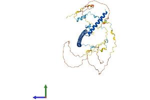 AlphaFold protein structure predicition of Human Recombinant SKA3 Protein, UniprotID Q8IX90