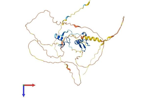 GATA1 Protein (AA 1-413) (His tag)