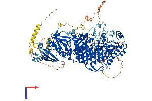 PLD1 Protein (AA 1-1074) (His tag)