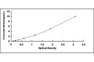 Typical standard curve (Endonuclease G ELISA Kit)