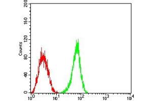 Flow cytometric analysis of HL-60 cells using CD363 mouse mAb (green) and negative control (red). (S1PR1 Antikörper)