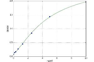 LY6/PLAUR Domain Containing 3 (LYPD3) ELISA Kit