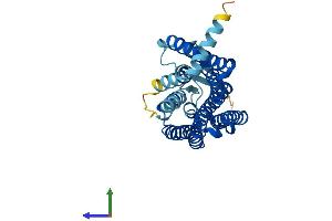 AlphaFold protein structure predicition of Human Recombinant OR10H2 Protein, UniprotID O60403