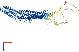 TTYH2 Protein (AA 1-534) (His tag)