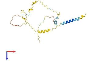 LAT2 Protein (AA 1-203) (His tag)