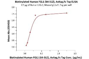 ELISA image for Fibrinogen-Like 1 (FGL1) (AA 64-312) (Active) protein (AVI tag,Fc Tag,Biotin) (ABIN6973071)