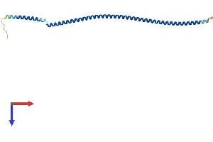 SPATA24 Protein (AA 1-205) (His tag)