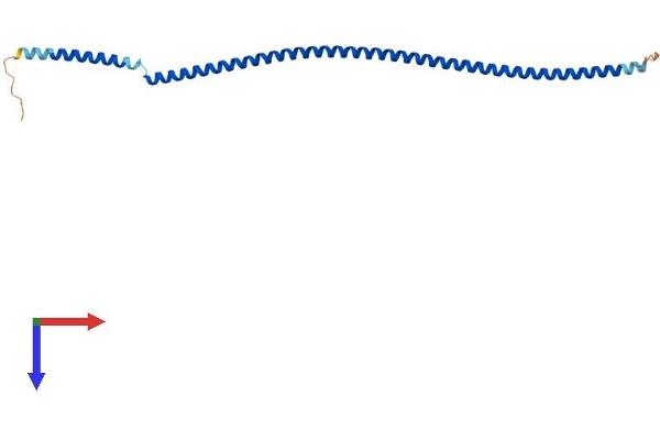 SPATA24 Protein (AA 1-205) (His tag)