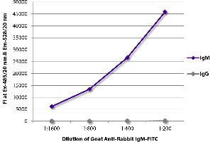 FLISA plate was coated with purified rabbit IgM and IgG. (Ziege anti-Kaninchen IgM (Heavy Chain) Antikörper (FITC))