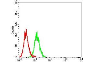 Flow cytometric analysis of Ramos cells using CD112 mouse mAb (green) and negative control (red). (PVRL2 Antikörper  (AA 58-212))