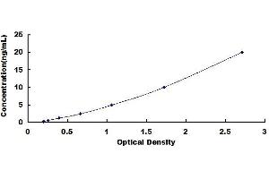 ESR2 ELISA Kit