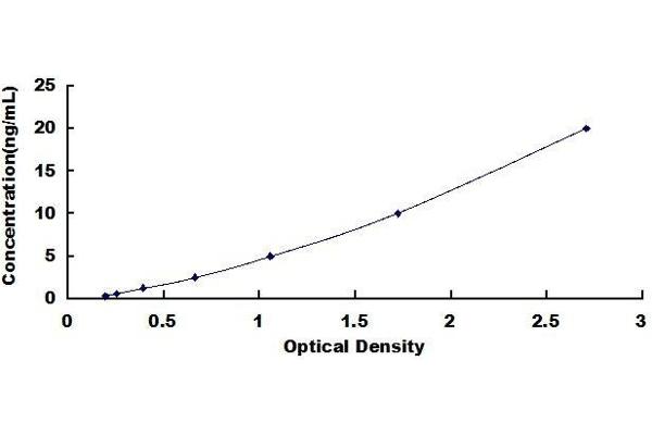 ESR2 ELISA Kit