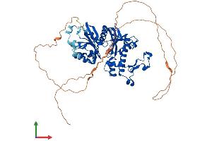 Protein Structure (PS) image for Pantothenate Kinase 1 (PANK1) (AA 1-548) protein (His tag) (ABIN7559577)