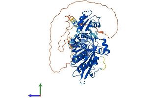 Protein Structure (PS) image for Poly A Specific Ribonuclease (PARN) (AA 1-624) protein (His tag) (ABIN7564743)