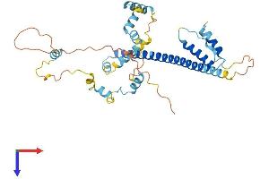 FEZ2 Protein (AA 1-353) (His tag)