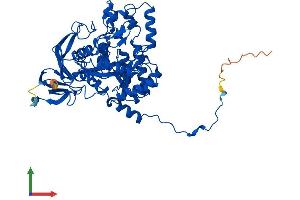 Protein Structure (PS) image for Dihydropyrimidinase (DPYS) (AA 1-519) protein (His tag) (ABIN7561398)