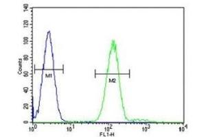 Myeloperoxidase antibody flow cytometric analysis of HL-60 cells (right histogram) compared to a negative control cell (left histogram). (Myeloperoxidase Antikörper  (AA 60-89))