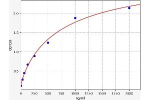 Typical standard curve (Indoxyl Sulfate (IS) ELISA Kit)