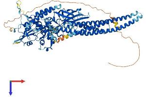 STAT5A Protein (AA 1-793) (His tag)