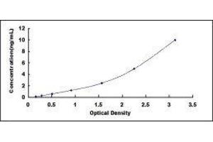 Myosin Binding Protein C, Cardiac (MYBPC3) ELISA Kit