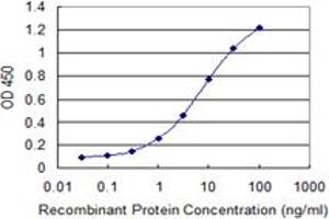 Detection limit for recombinant GST tagged ULK2 is 0. (ULK2 Antikörper  (AA 743-843))