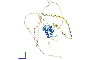 Protein Structure (PS) image for Engrailed Homeobox 1 (EN1) (AA 1-392) protein (His tag) (ABIN7548343)
