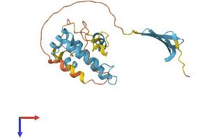 DNAJB8 Protein (AA 1-227) (His tag)