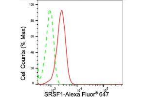 Flow cytometric analysis of SRSF1 expression in HepG2 cells using SRSF1 antibody (ABIN7800305), 1:2,000). (Rekombinanter SRSF1 Antikörper)