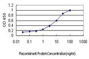 Detection limit for recombinant GST tagged GUCY2D is approximately 0. (GUCY2D Antikörper  (AA 521-630))