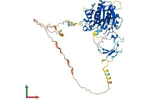 Protein Structure (PS) image for APEX Nuclease (Apurinic/apyrimidinic Endonuclease) 2 (APEX2) (AA 1-518) protein (His tag) (ABIN7552313)