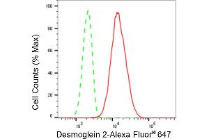Flow cytometric analysis of Desmoglein 2 expression in HepG2 cells using Desmoglein 2 antibody (ABIN7798317), 1:2,000). (Rekombinanter Desmoglein 2 Antikörper)