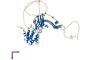 GGA1 Protein (AA 1-635) (His tag)