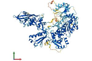 Protein Structure (PS) image for Schlafen Family Member 5 (SLFN5) (AA 1-884) protein (His tag) (ABIN7559230)