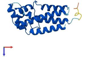 AlphaFold protein structure predicition of Mouse Recombinant Spaca9 Protein, UniprotID Q7TPM5
