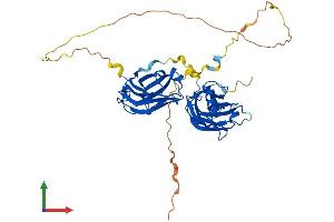 Protein Structure (PS) image for Double C2-Like Domains, beta (DOC2B) (AA 1-412) protein (His tag) (ABIN7547186)